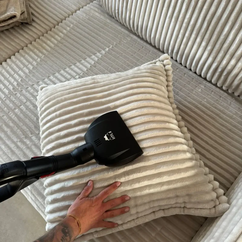 Polsterreinigung mit einem HYLA