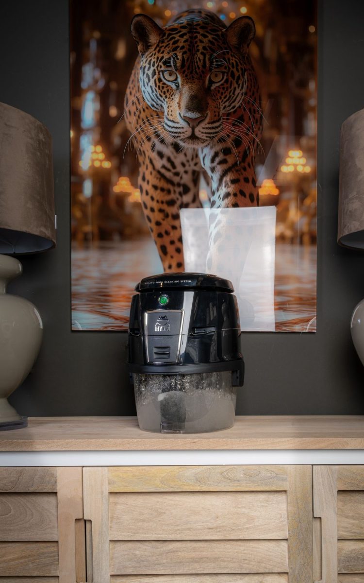 HYLA Vorführung Robert Wentzlau