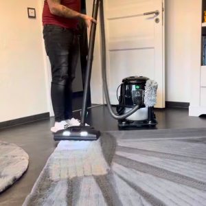 Reinigung eines Teppichs mit einem HYLA Wasserstaubsauger